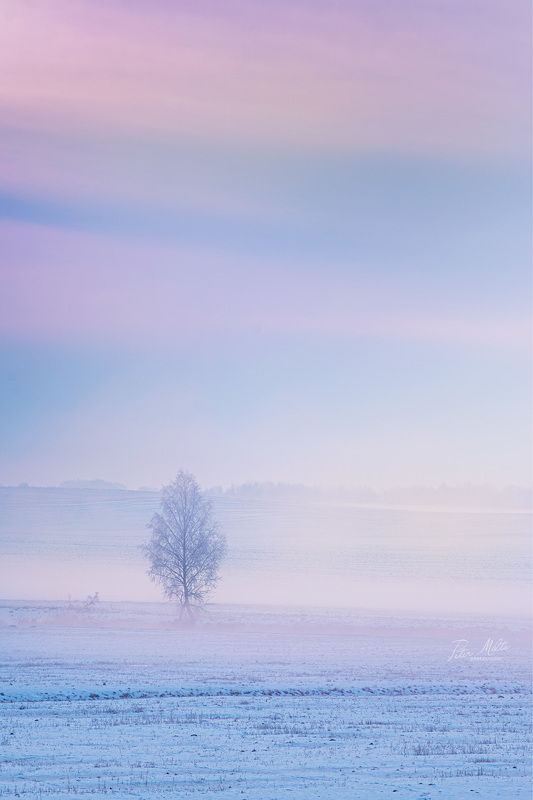 Зимние туманы фото превью