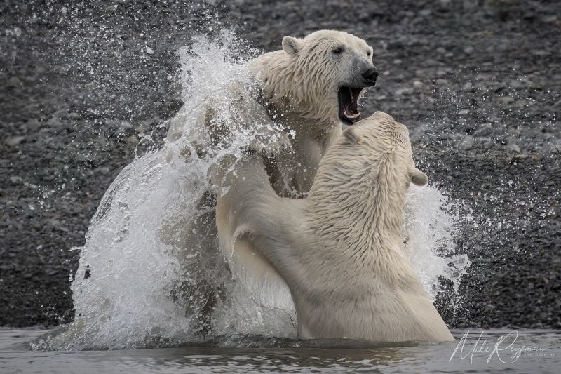 Martial Arts Training фото превью