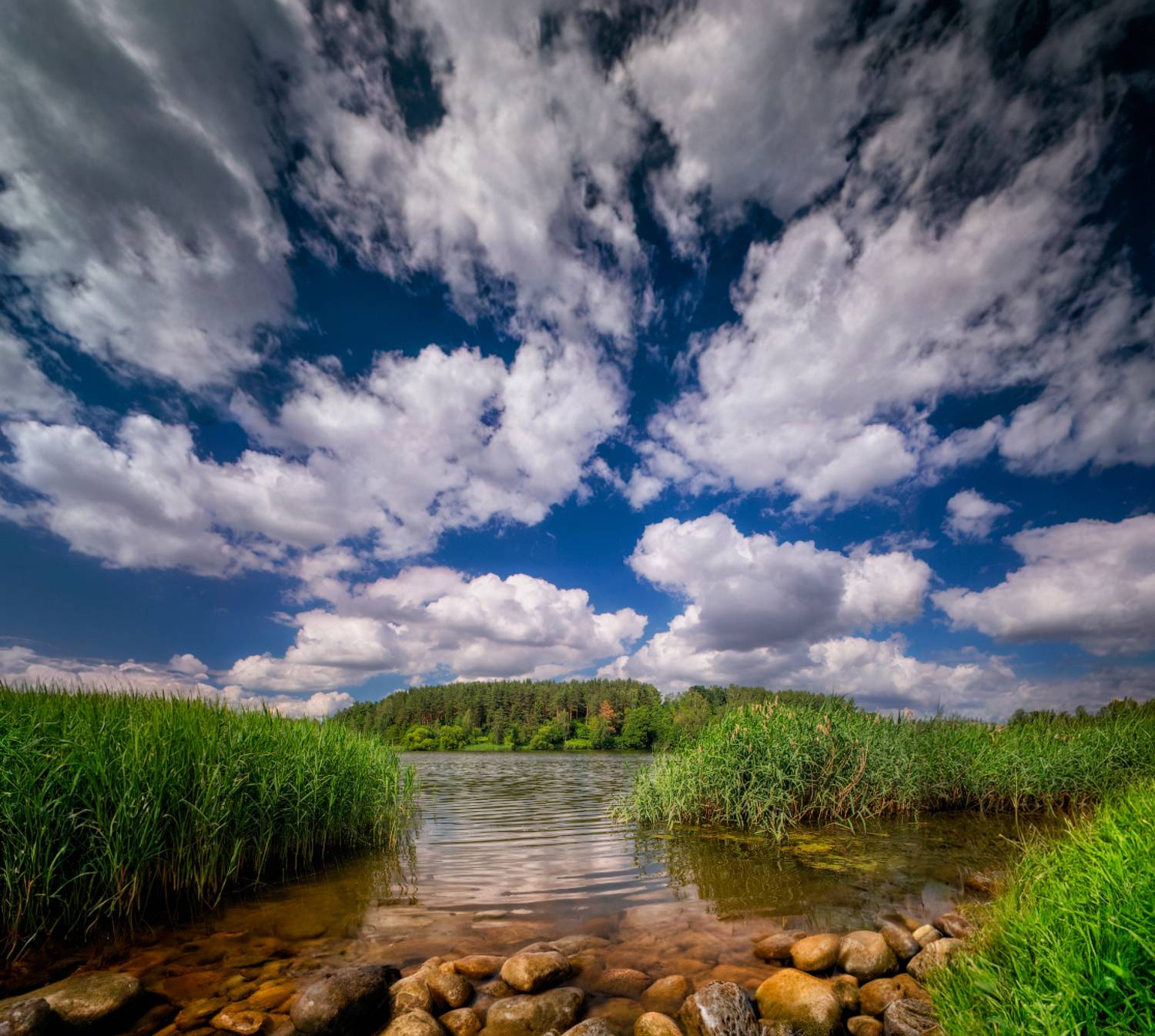 лето, полдень, озеро, небо, берег,, Сергей Шабуневич