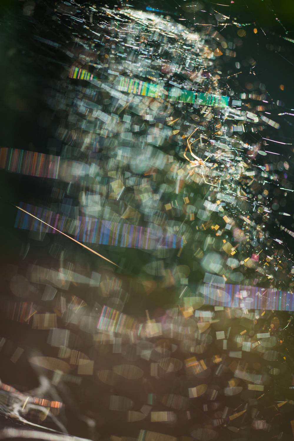 , Викулов Николай