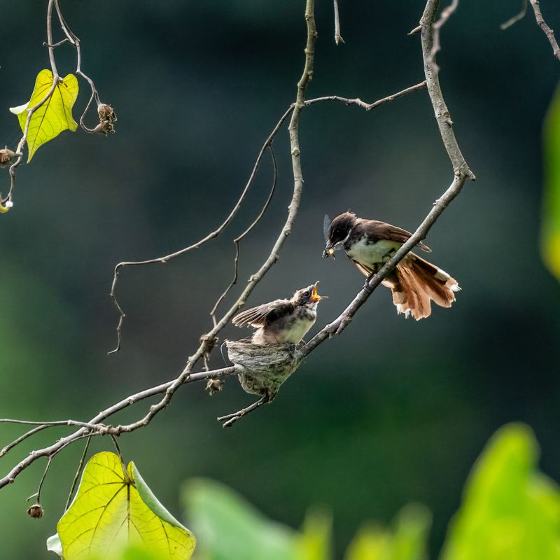 Unconditional Love  фото превью