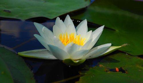 Всем жарко....