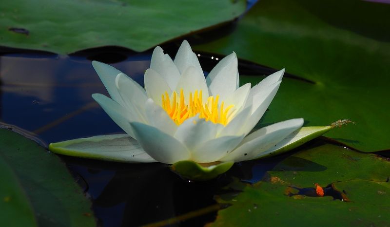 Всем жарко.... фото превью