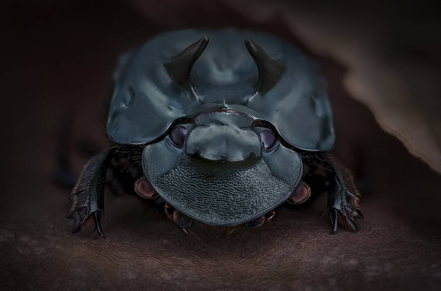 , Kavaliauskas Eugenijus