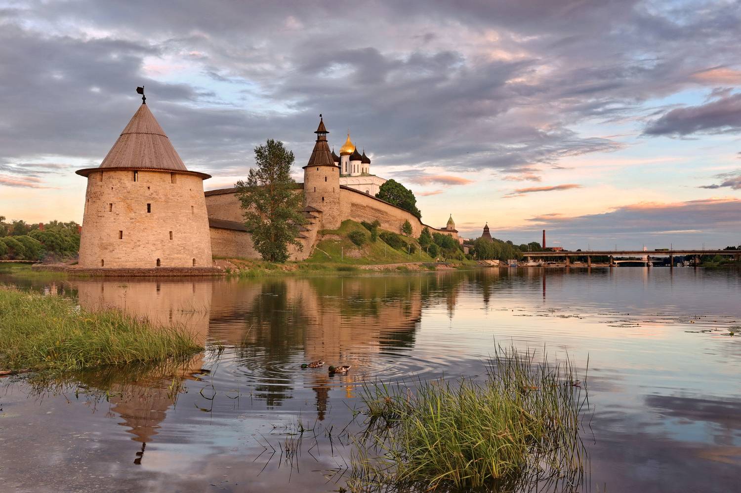 , Добролюбова Тамара