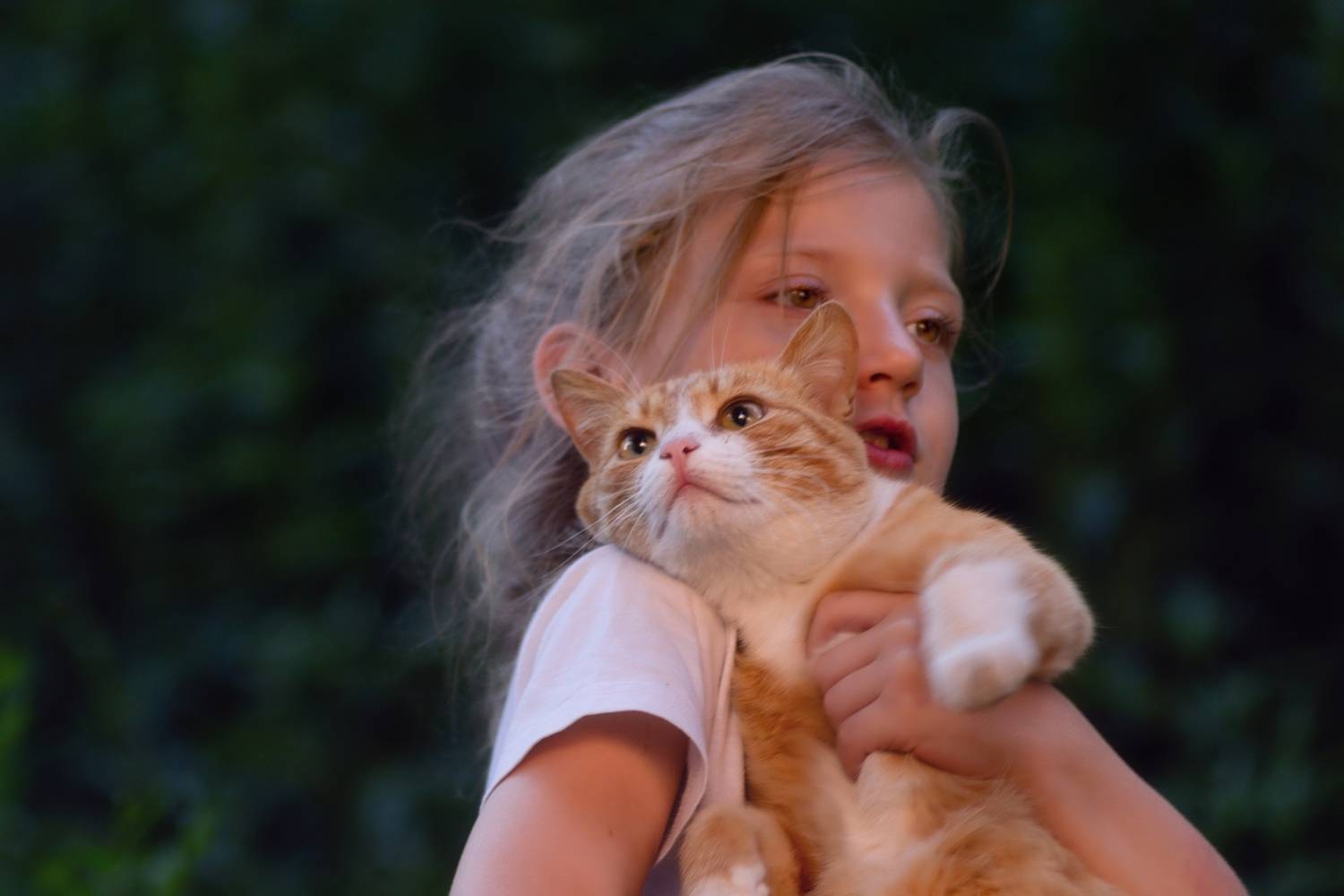 спонтанный снимок, Александр Канцур