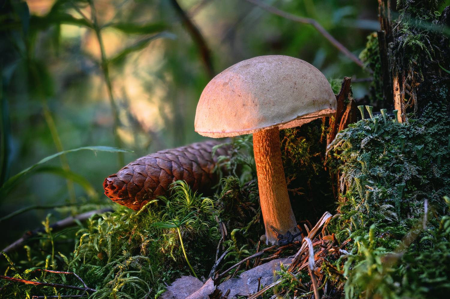 , Нуждин Андрей