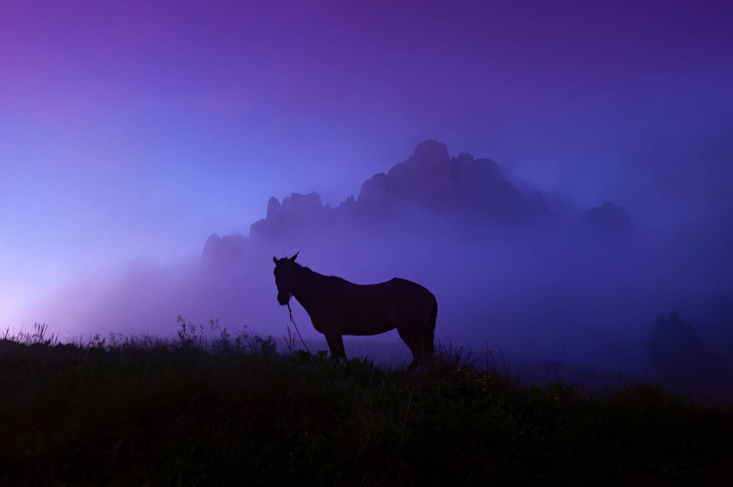 , Васильева Дарья