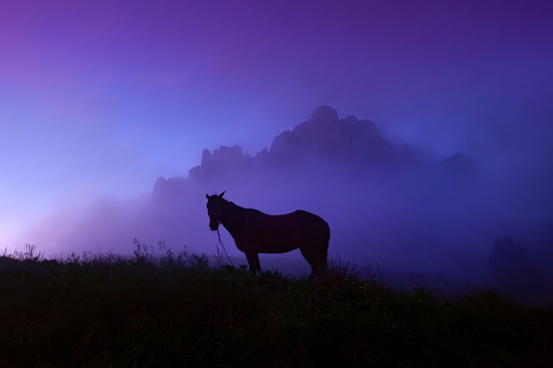 * фото превью