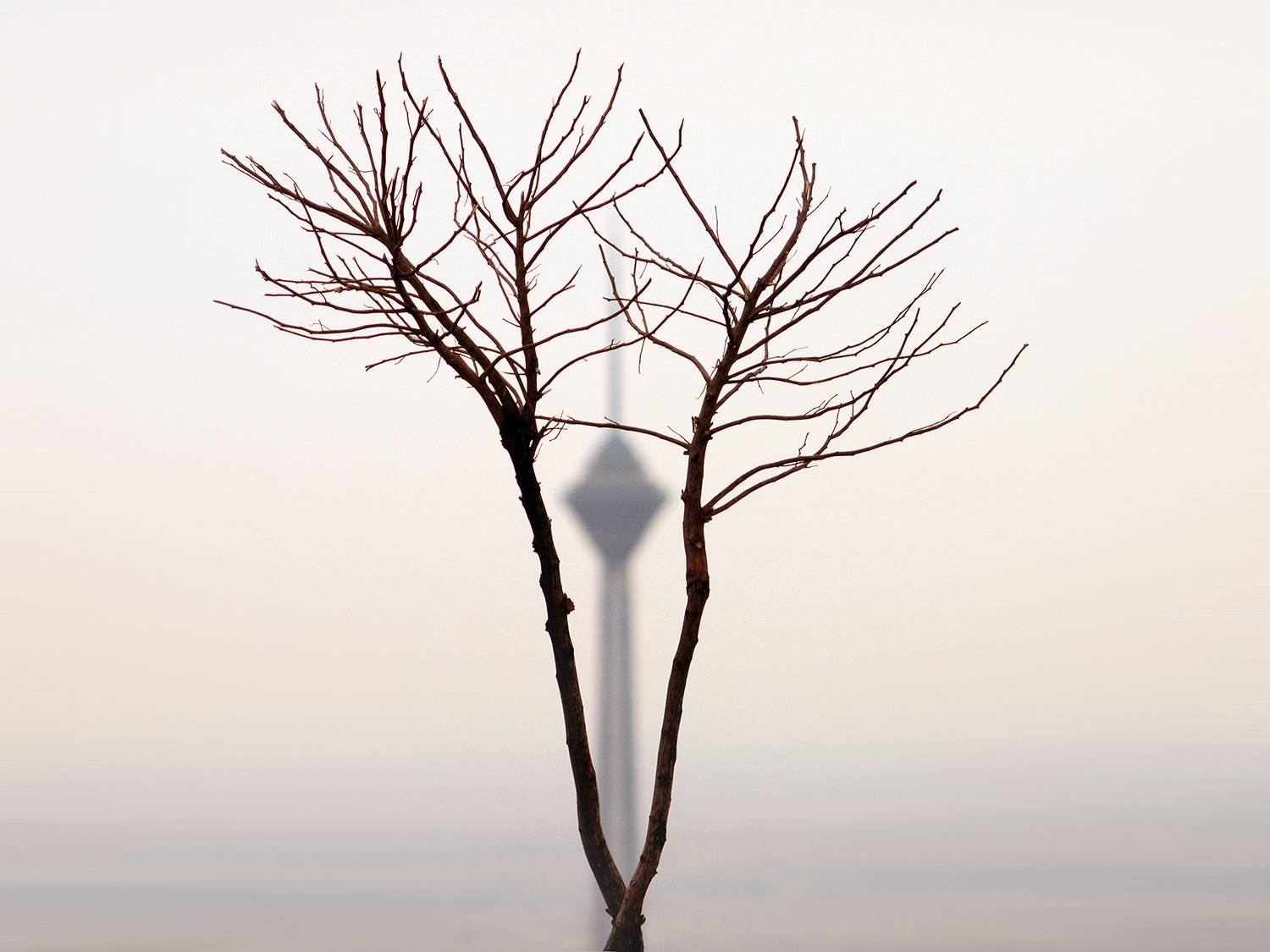 , Farid Ataei