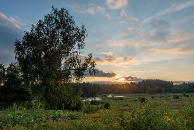 Вечер. Середина лета фото превью