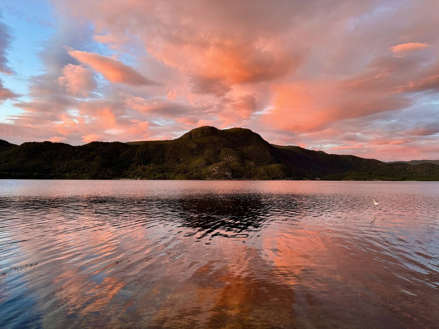 Landscapes, sunset, summer, colors, strait, see, Norway, clouds, sky, , Svetlana Povarova Ree
