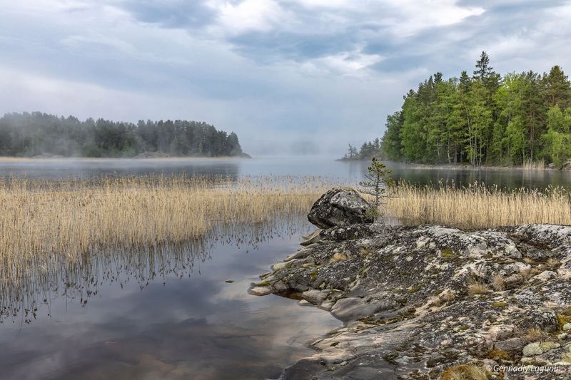 карелия, karelia, ладога, ladoga Карельская история фото превью