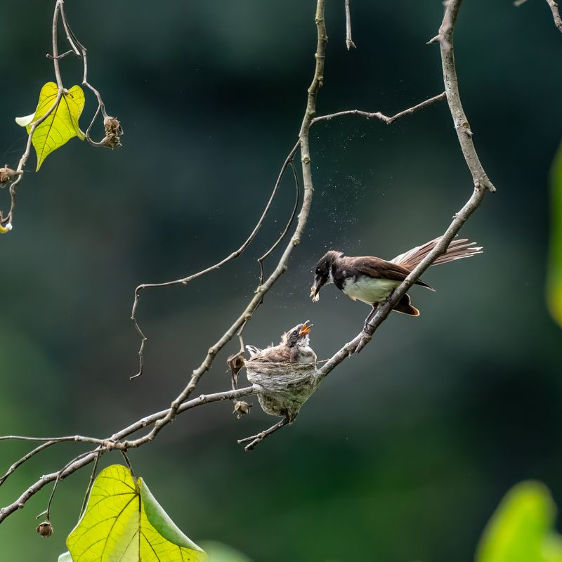 Unconditional Love  фото превью