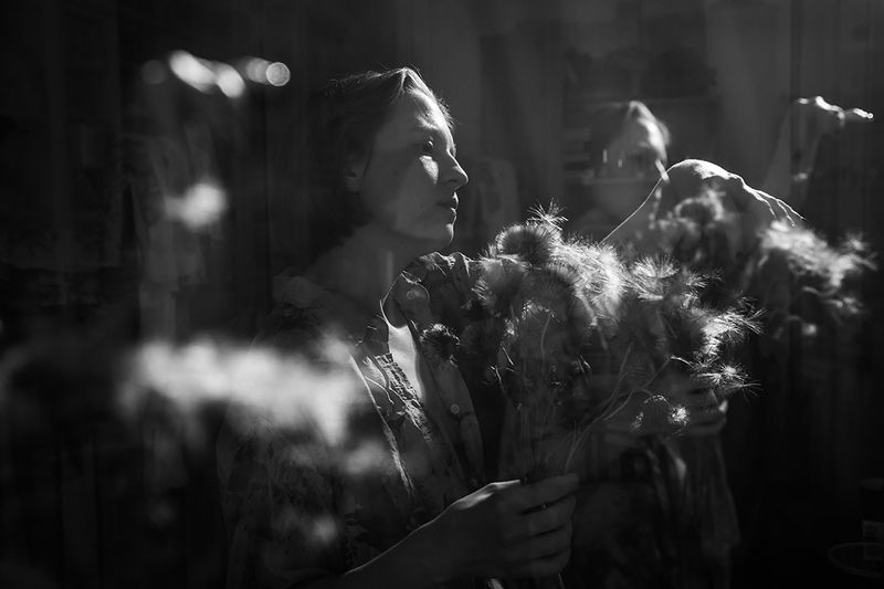 Света и чертополох. фото превью