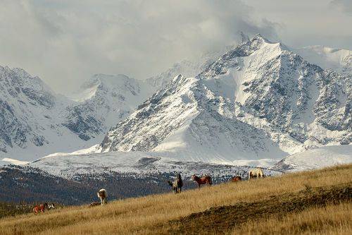 Горы Алтая.