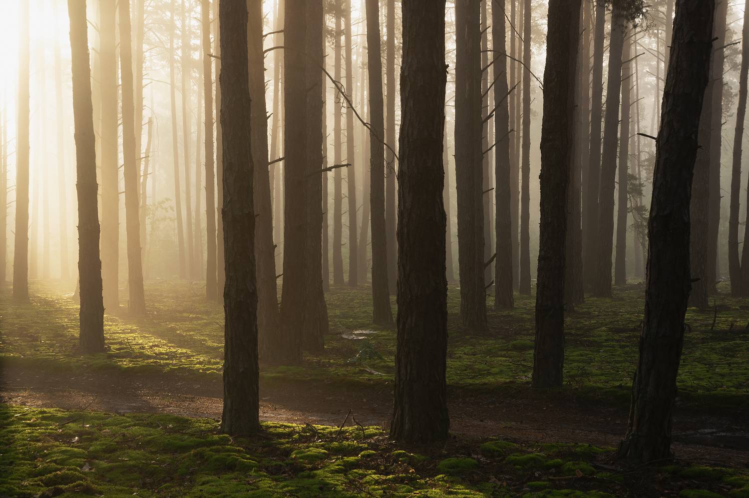 , Захаров Дмитрий