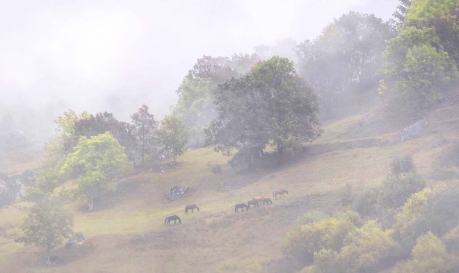 , Ольга Глухарёва