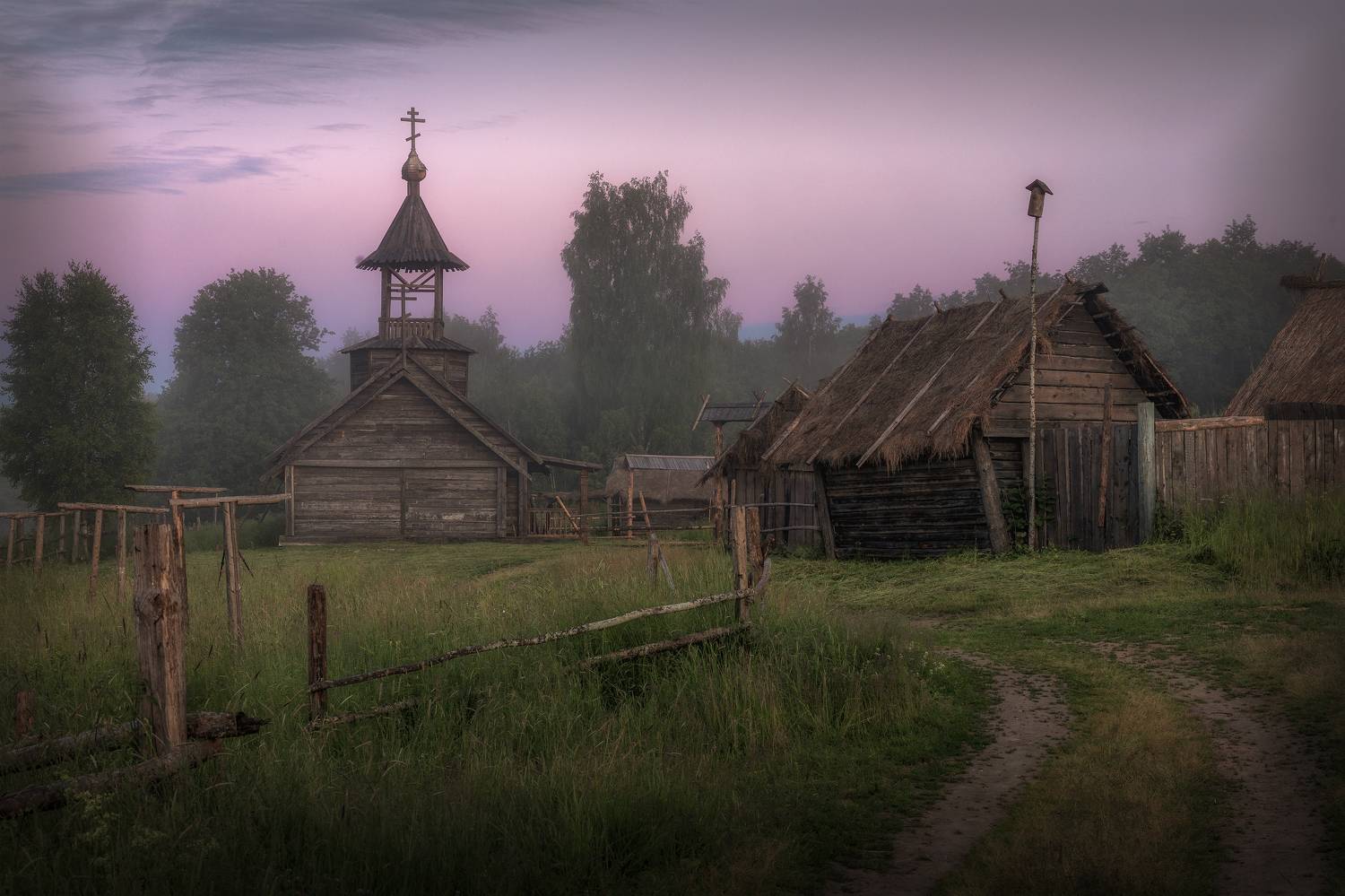 псковская, область, Гусева Елена