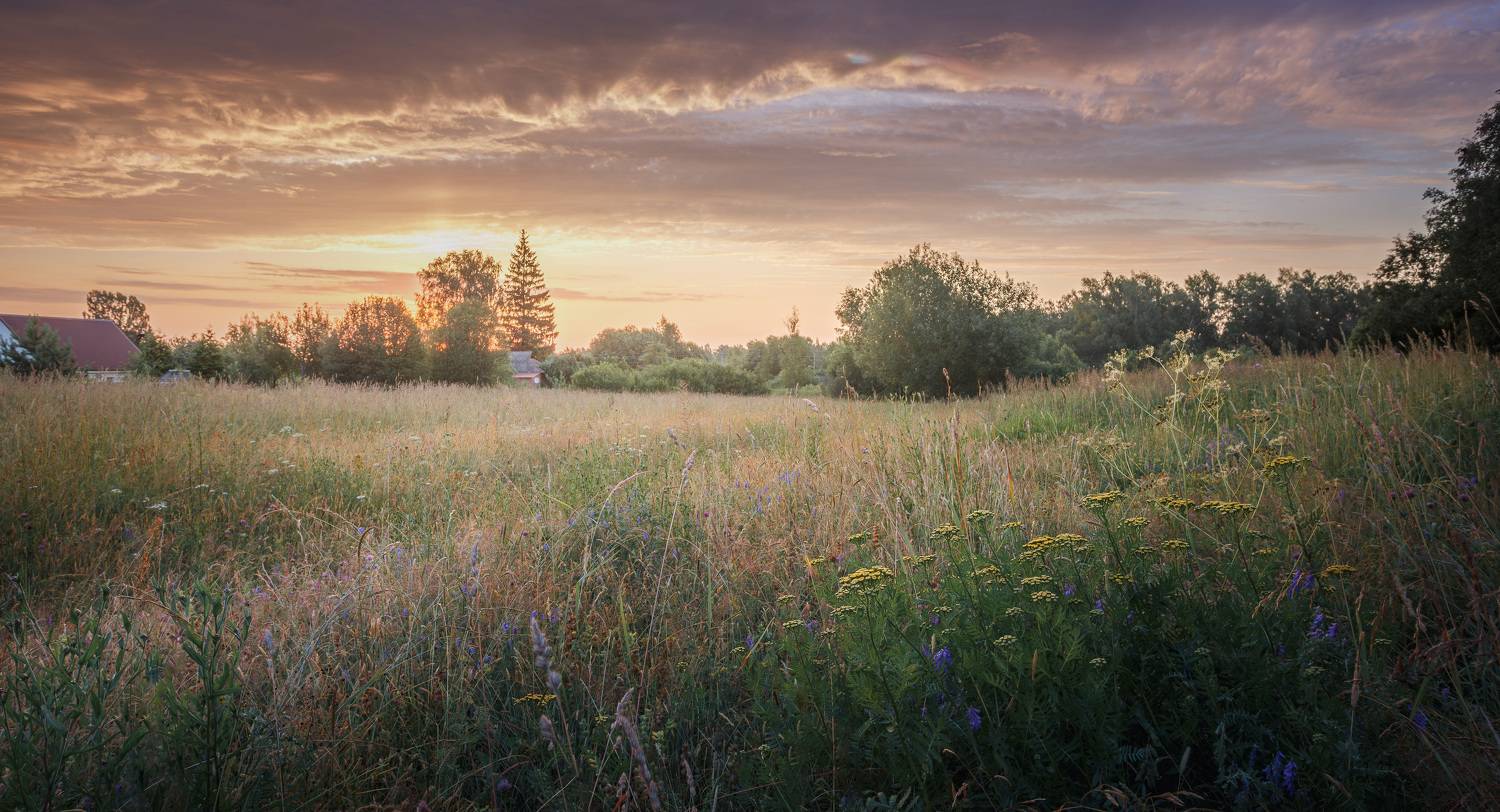 , Зеленько Дмитрий