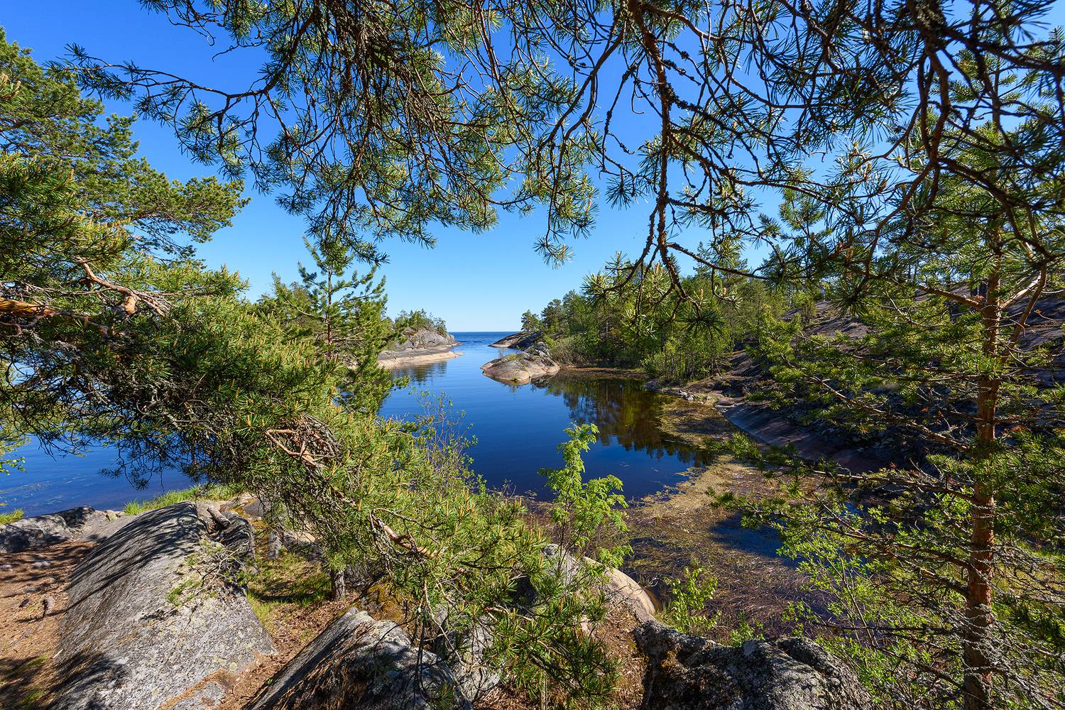 #карелия, Александр Добыш