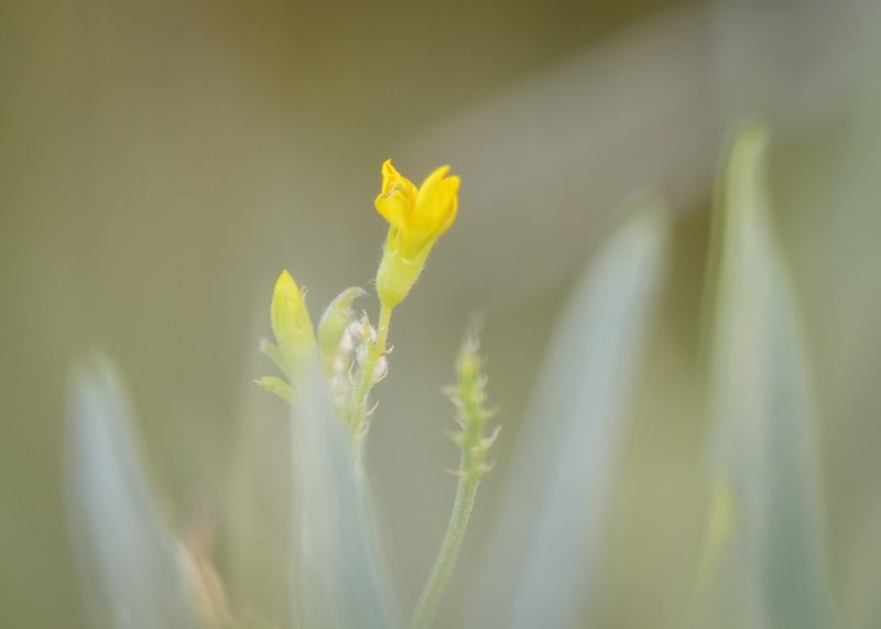 2024 фото превью