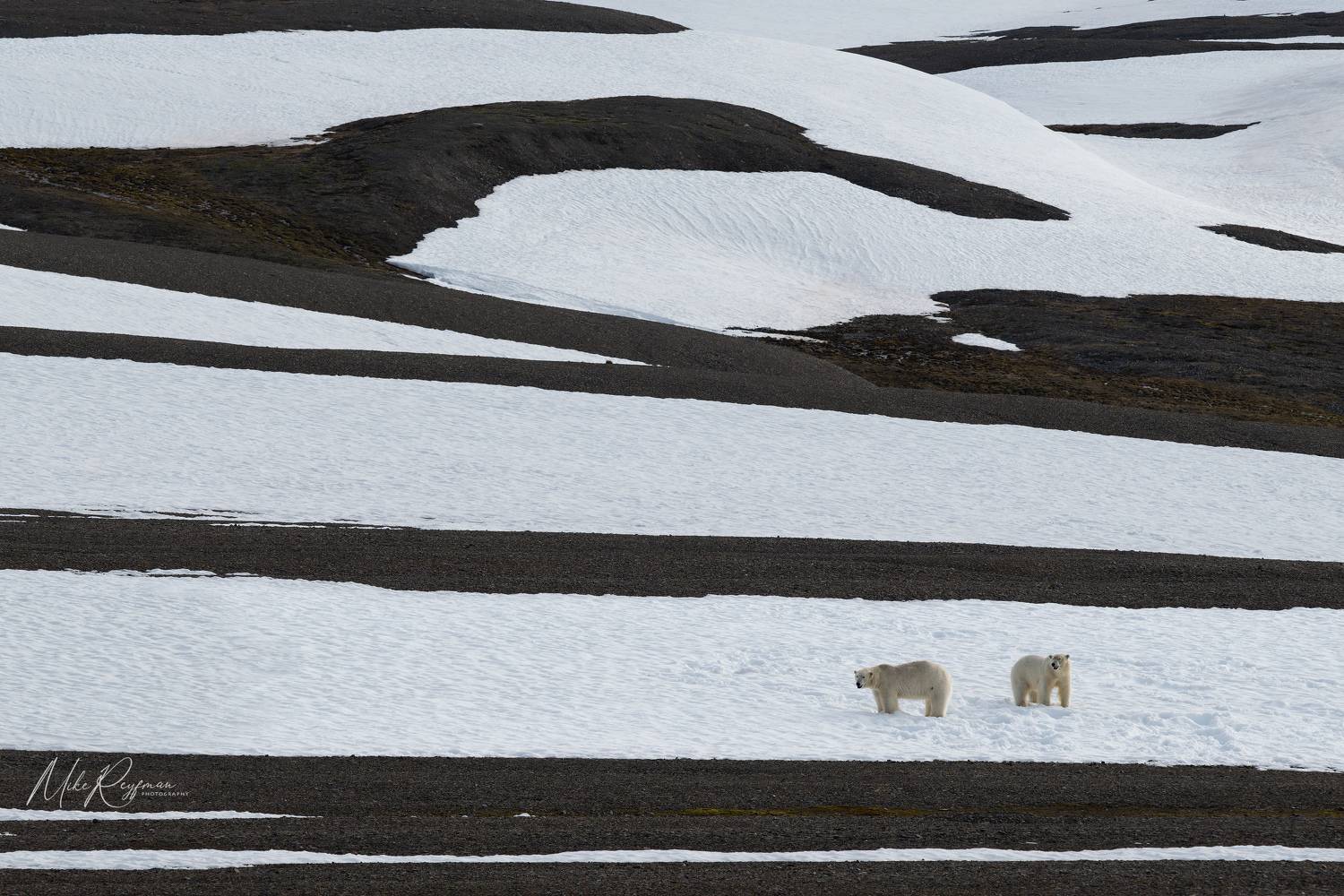 , Майк Рейфман