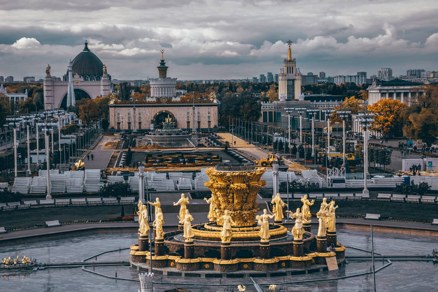 , Трепольский Дмитрий