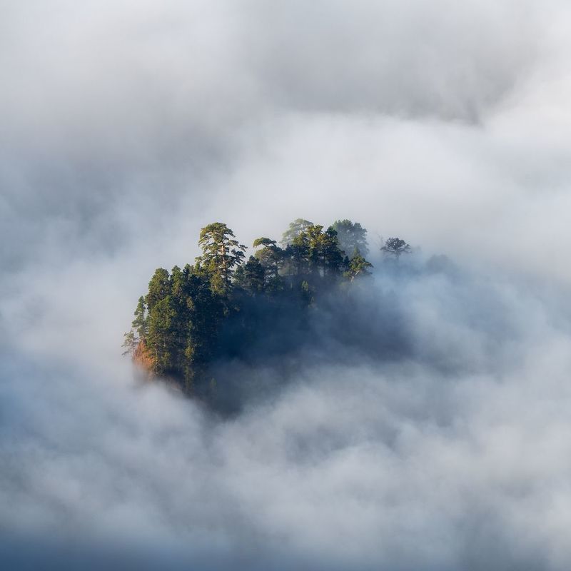 Above the clouds фото превью