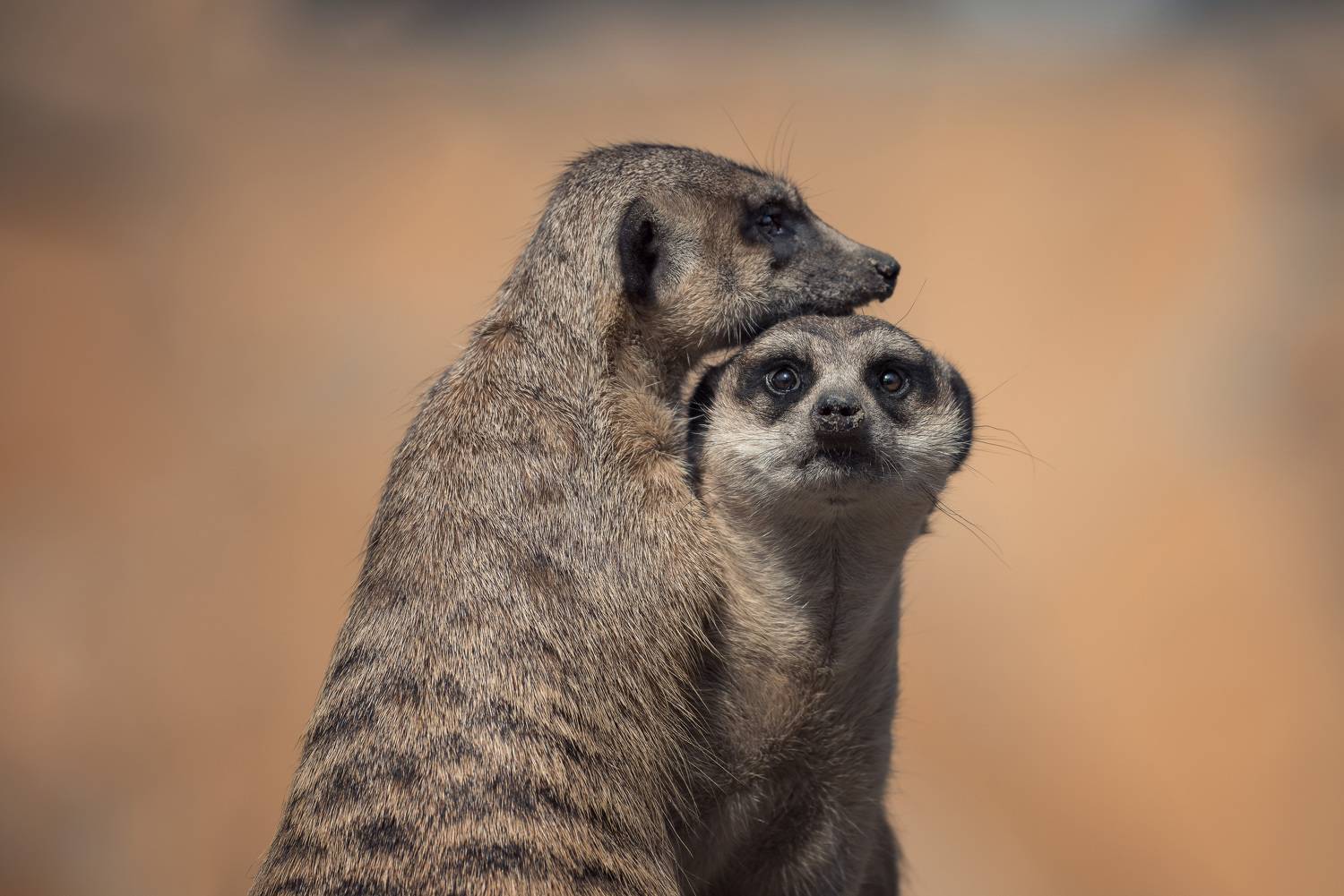 , Рагинская Ольга