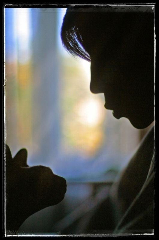 Разговор на закате фото превью