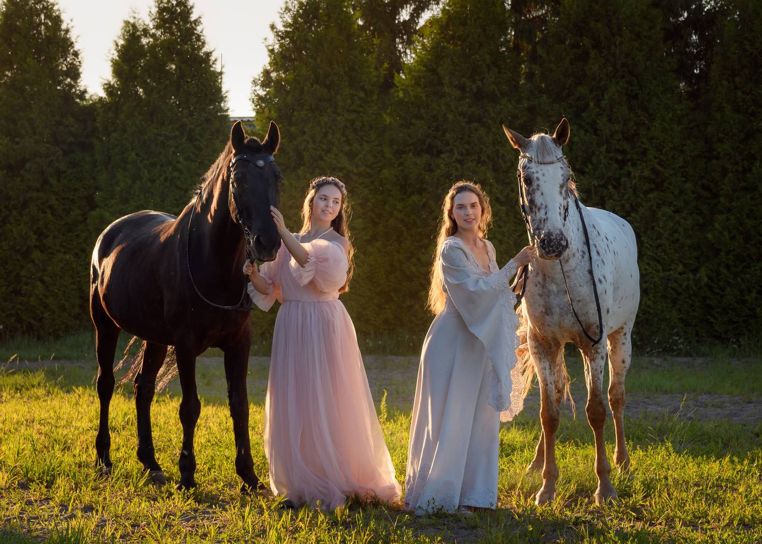 лошади, кони, девушки, Студнев Сергей