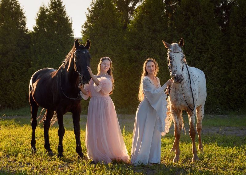 лошади, кони, девушки Юные леди в конно-спортивном клубе фото превью