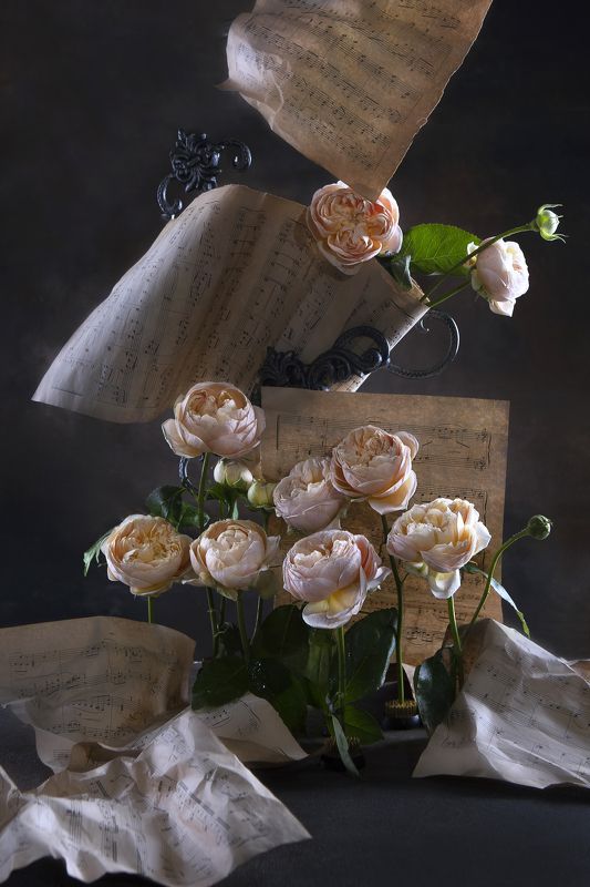 Творческий переполох фото превью