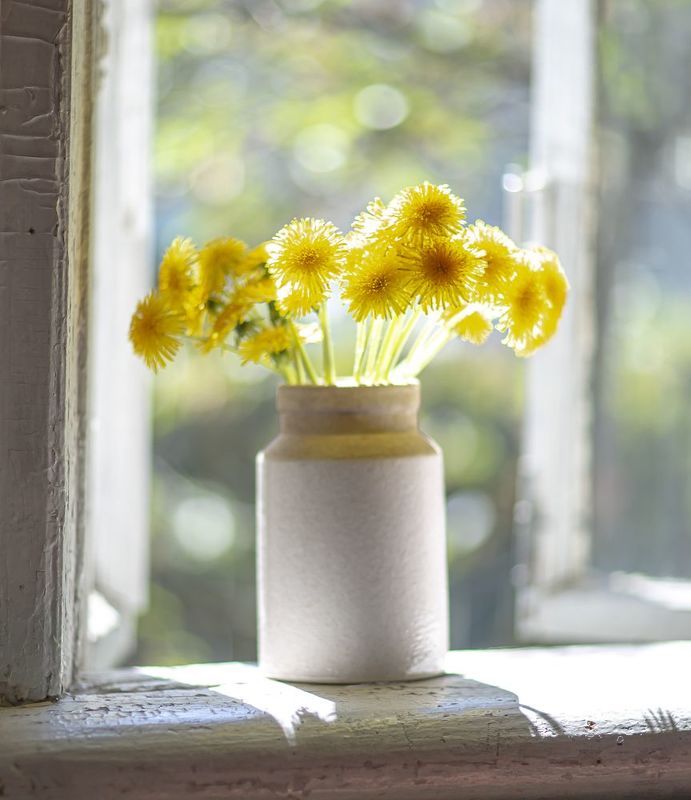 В июне фото превью