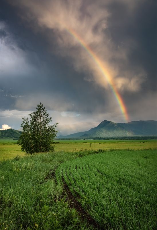 алтай, горный алтай, пейзажи алтая, усть-коксинский район, радуга, лето на алтае, горы, филаретка, уймонская долина, мульта, усть-кокса, уймонская степь, поле, гроза Радуги Уймона или Небесные явления фото превью