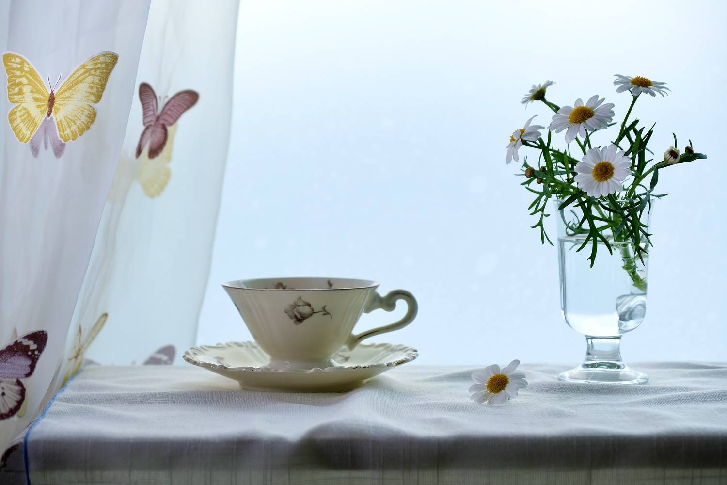 Still life, summer, flowers, daisies, mood, , Svetlana Povarova Ree