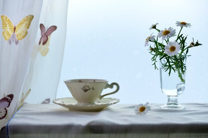 Still life, summer, flowers, daisies, mood,  Лето фото превью