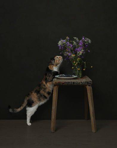 Фрося любит полевые цветы