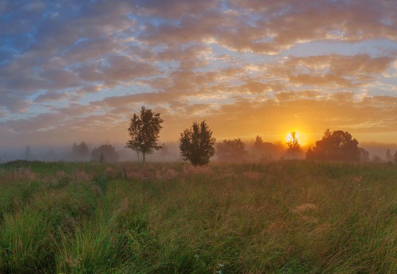 просто поле на рассвете ) фото превью