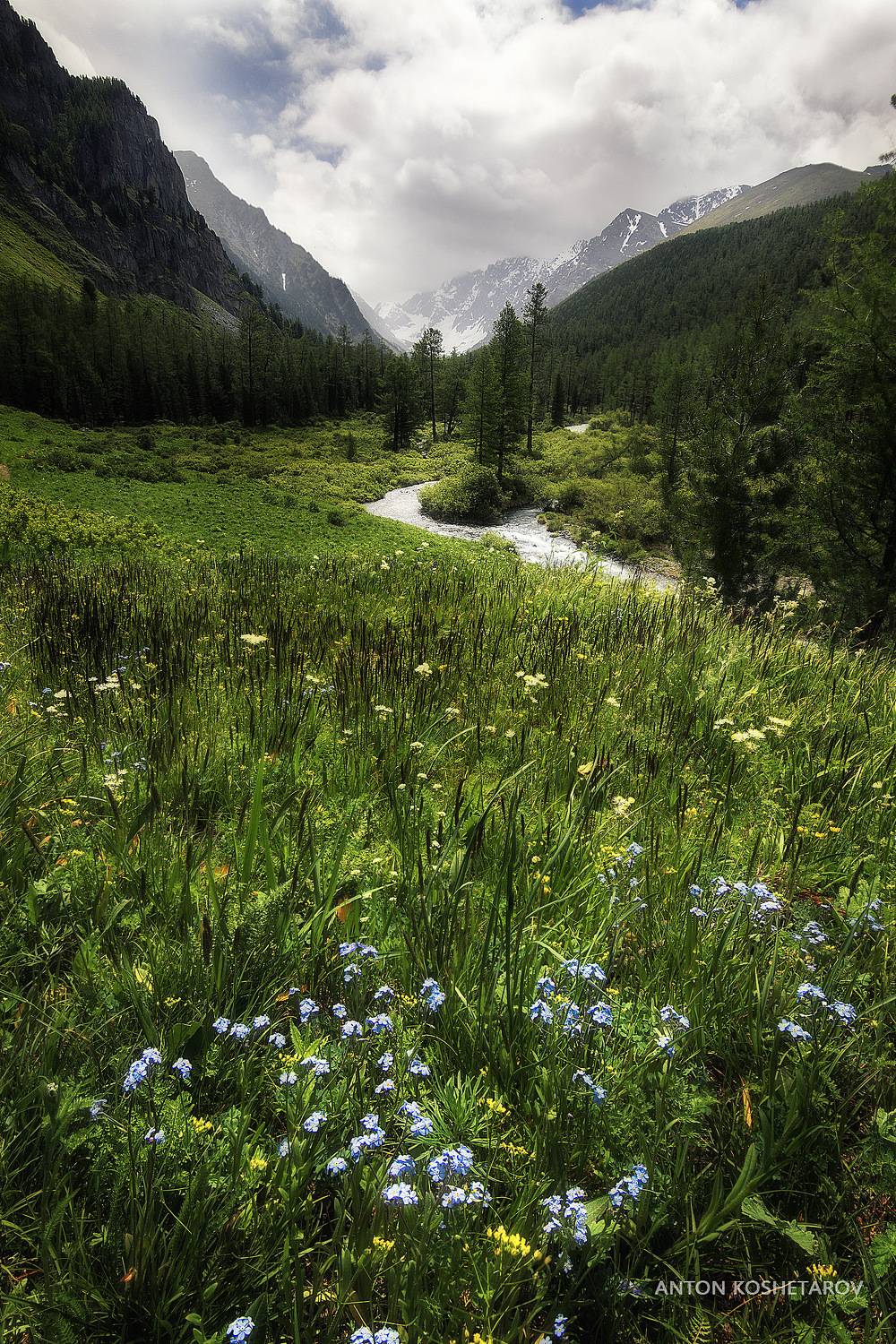 , Антон Кошетаров