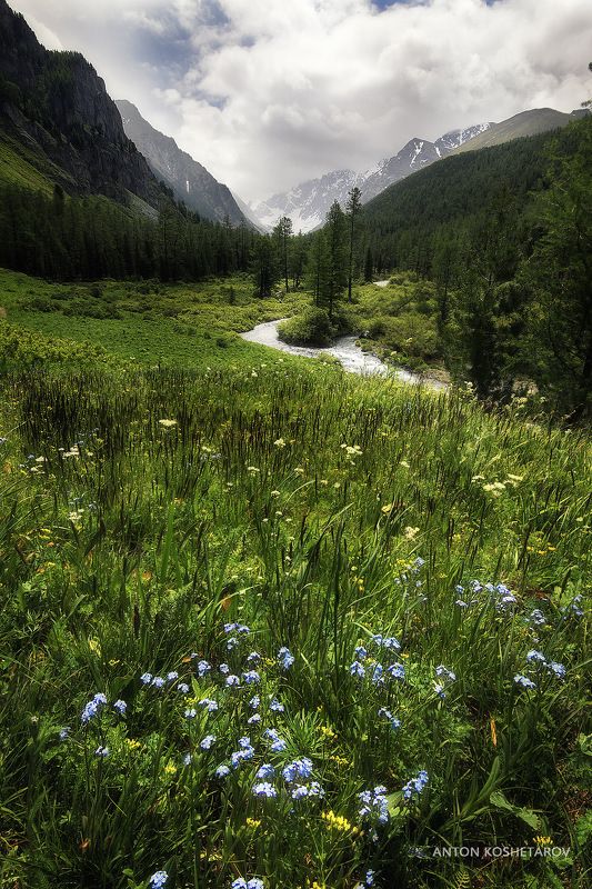 Алтайские тропы фото превью