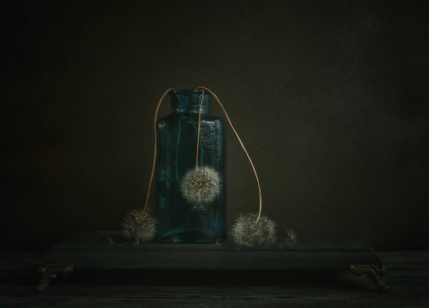 цветы, усталость, натюрморт, flowers, ваза, still life, flowers, минимализм, Стасов Виталий