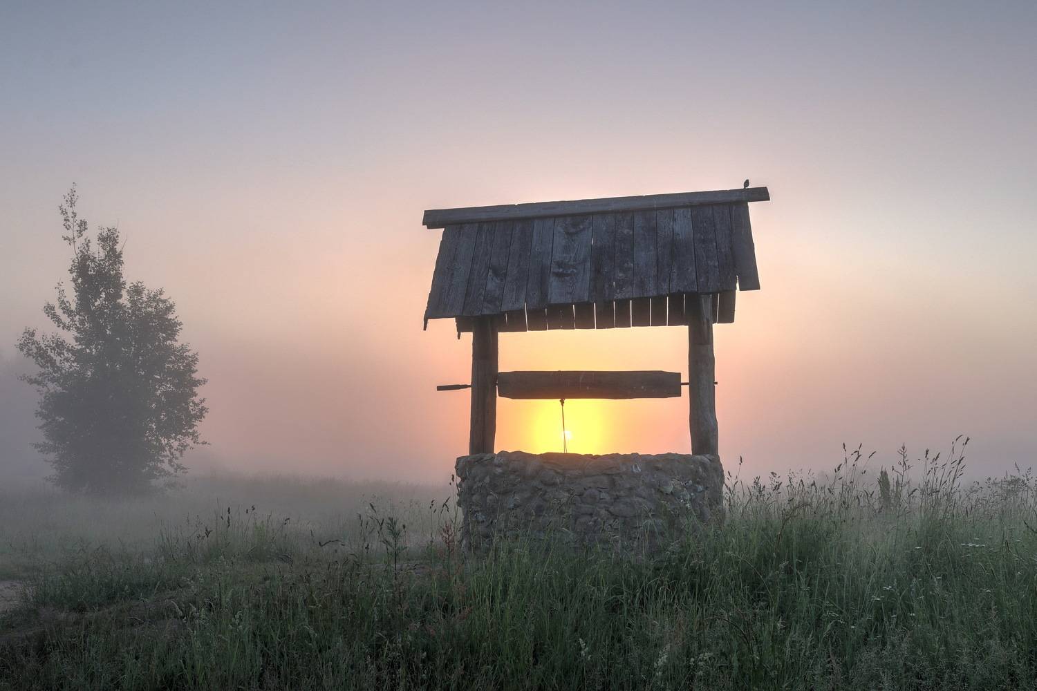 , Добролюбова Тамара