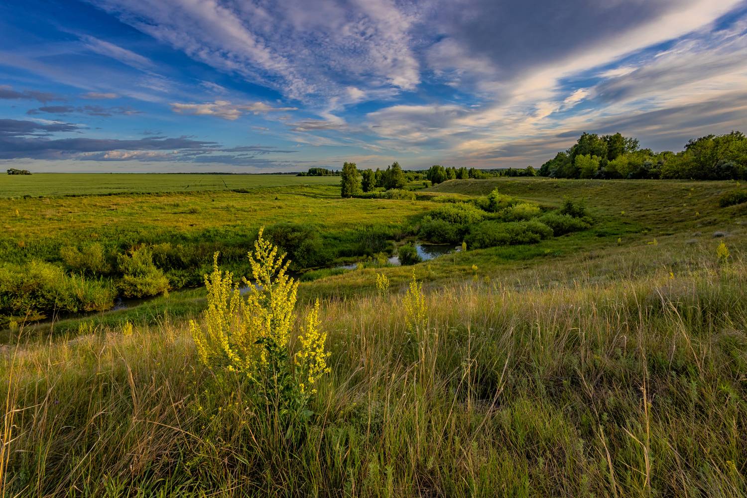 , Подосинников Максим