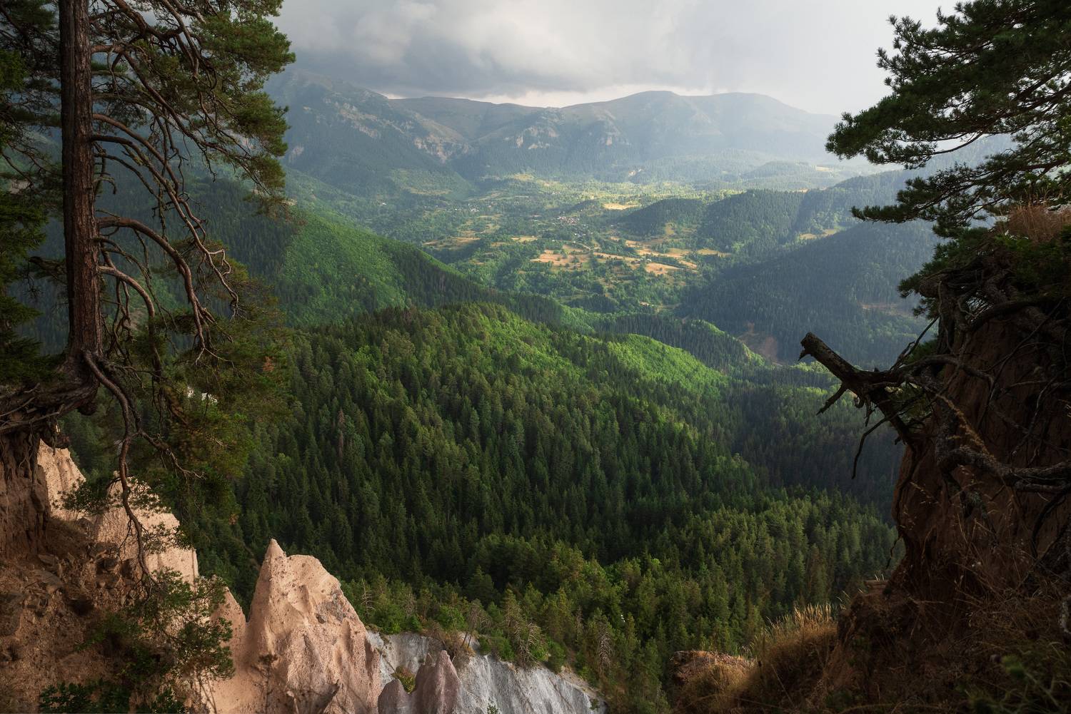 , Рагинская Ольга