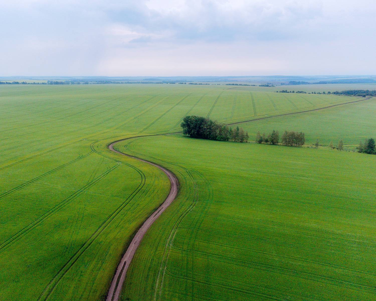 природа, пейзаж, аэрофотосъемка, dji, поля, урожай, Мартыненко Дмитрий