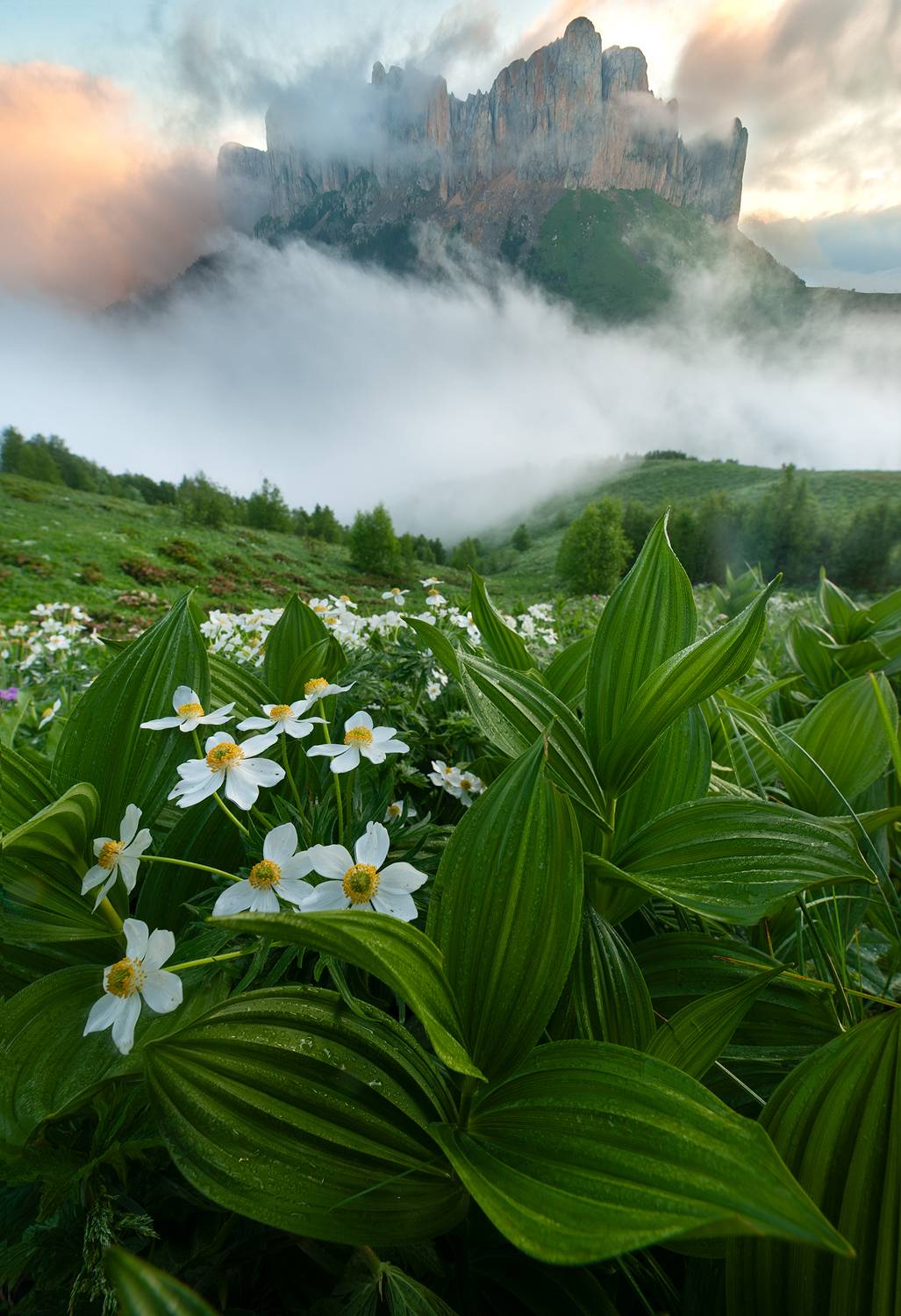 , Васильева Дарья