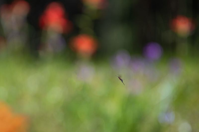 Подражание великим фото превью