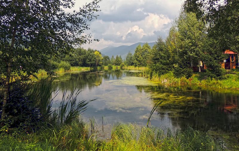 фото превью